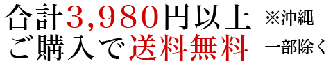 国産仏壇 「ラマリット」 コンビ （v12-061-2）/家具調仏壇 モダン仏壇