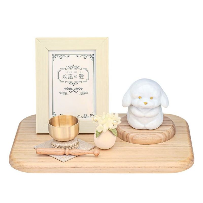 000000005686-20-l.jpg?t=